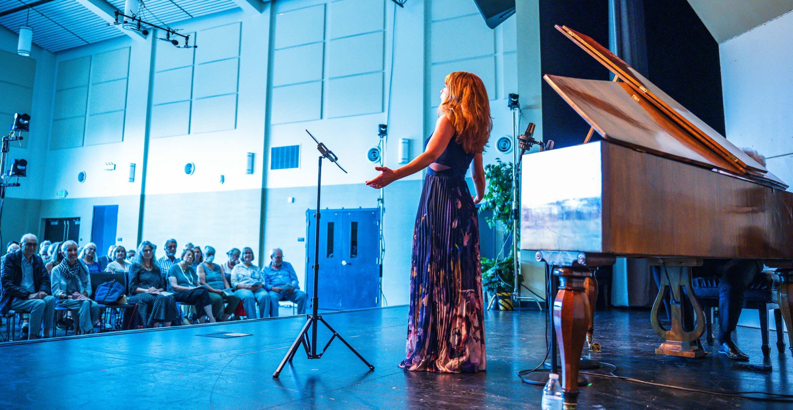 Valley of the Moon Music Festival